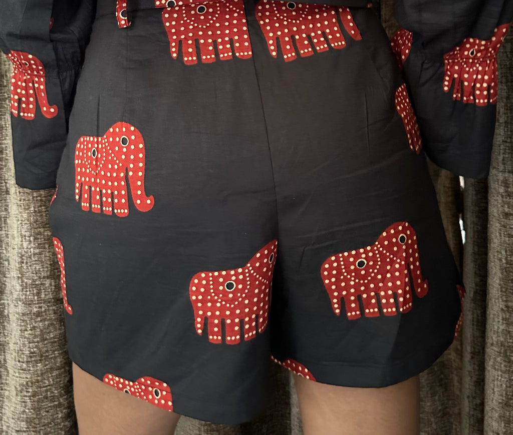 Hangout with Hathi – Co-ord